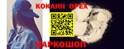 СК Шелехов