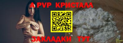 СК Шелехов