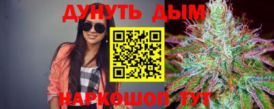 амф Шахты