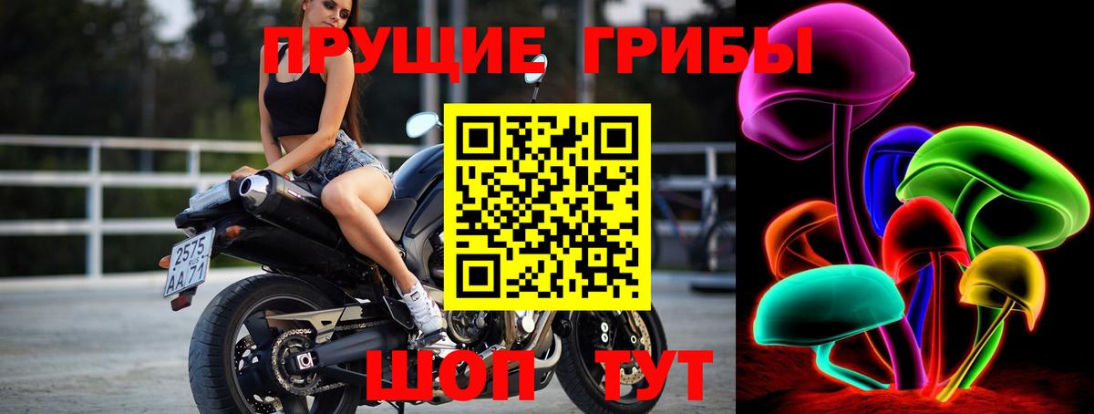 Галлюциногенные грибы прущие грибы Бузулук